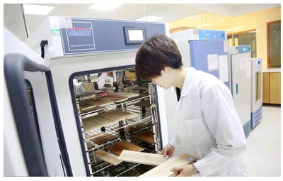 新材料技術(shù)研發(fā)迎來(lái)政策東風(fēng)，國(guó)務(wù)院一周新政精準(zhǔn)賦能